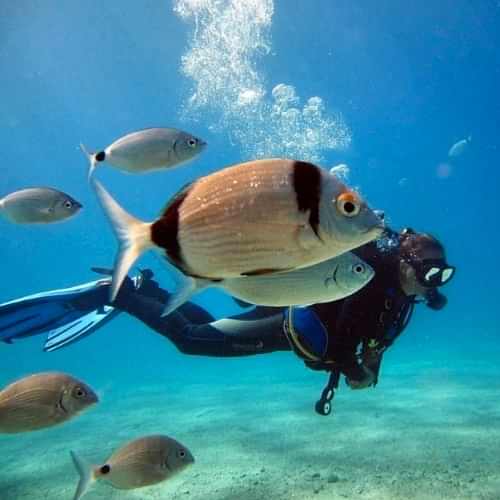 ölüdeniz dalış fiyatı